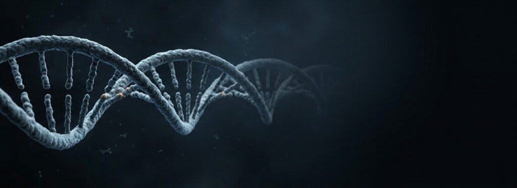 Realistic DNA double helix fading into darkness illustrating the mystery of biological information and the scientific question of intelligent design